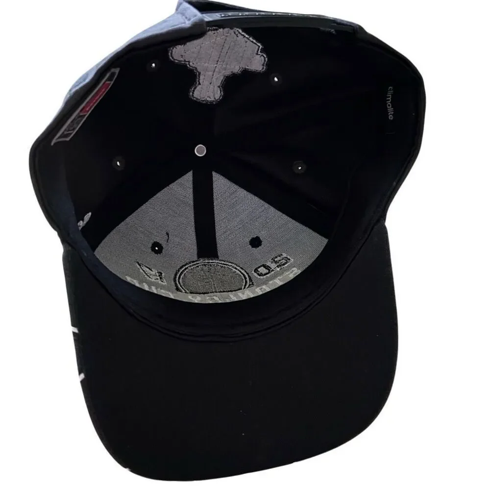 Pittsburgh Penguins 2017 Stanley Cup Champs Reebok SnapBack Hat